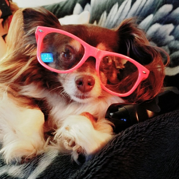 Meet your Posher, Stephanie - Picture 3 of 3